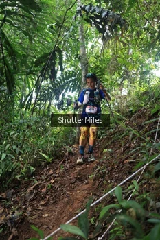 Runner Photo 5223862