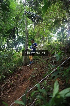 Runner Photo 5223898