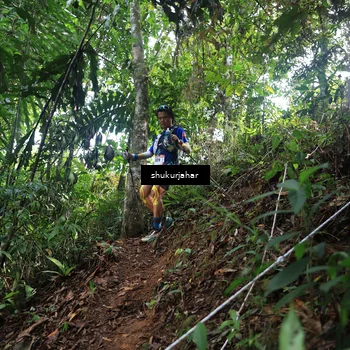Runner Photo 5223900