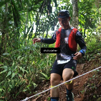 Runner Photo 5223954