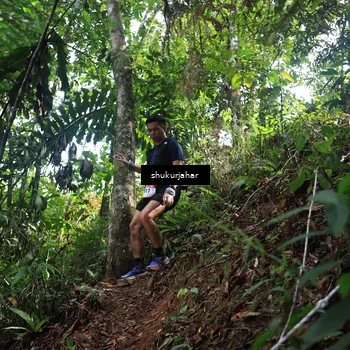 Runner Photo 5224139