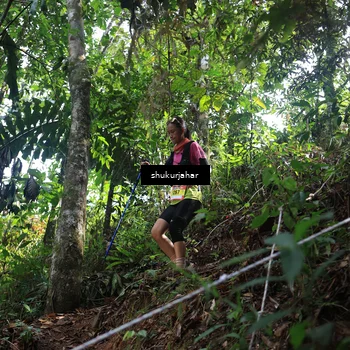 Runner Photo 5224255