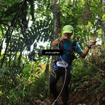 Runner Photo 5224351