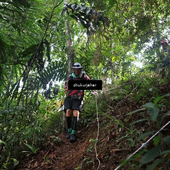 Runner Photo 5224523