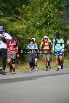 Runner Photo 5226402