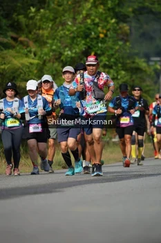 Runner Photo 5226406