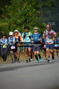 Runner Photo 5226407