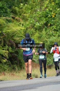 Runner Photo 5226633