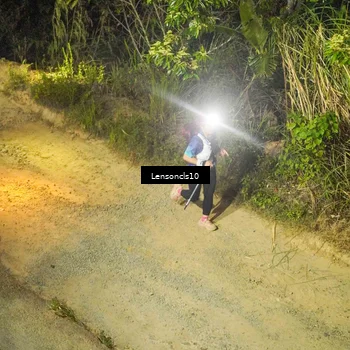 Runner Photo 5226681