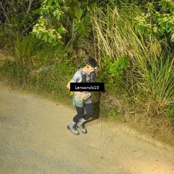 Runner Photo 5227748