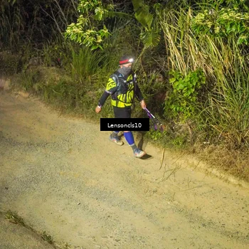 Runner Photo 5227833