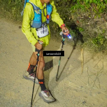 Runner Photo 5227879
