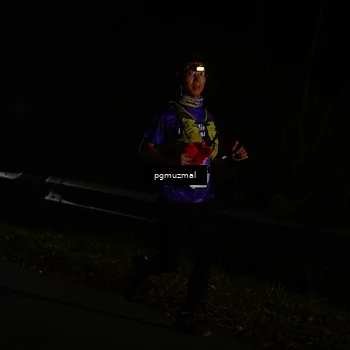 Runner Photo 5228016