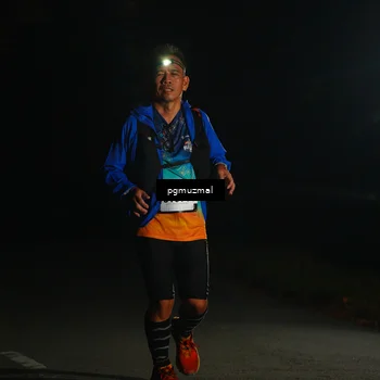 Runner Photo 5228078