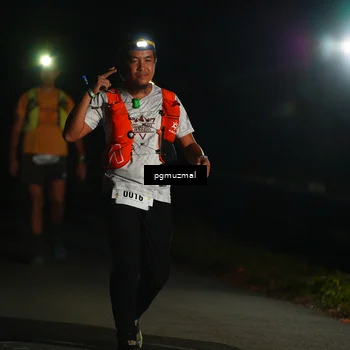 Runner Photo 5228087