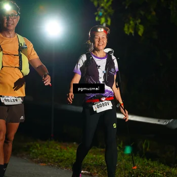 Runner Photo 5228127
