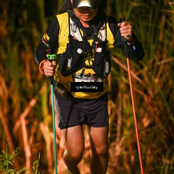 Runner Photo 5228131