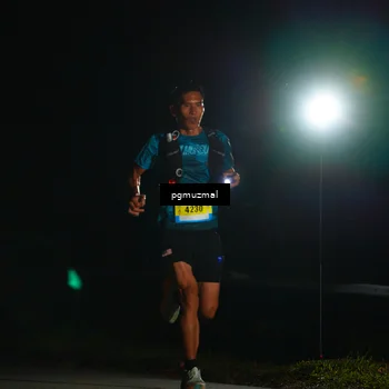 Runner Photo 5228177