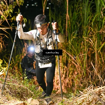 Runner Photo 5228179