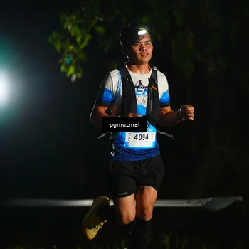 Runner Photo 5228186