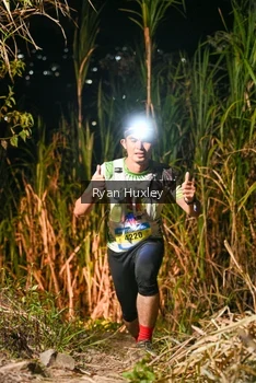 Runner Photo 5228194