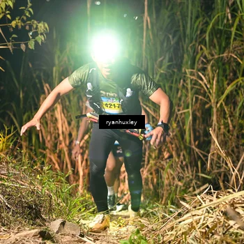 Runner Photo 5228220