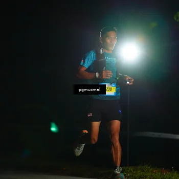 Runner Photo 5228230