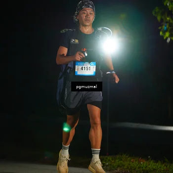 Runner Photo 5228295