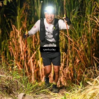 Runner Photo 5228316