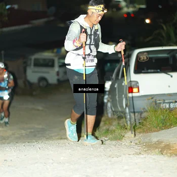 Runner Photo 5228345