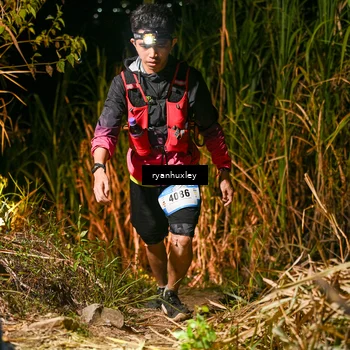 Runner Photo 5228466
