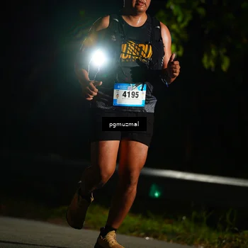 Runner Photo 5228565