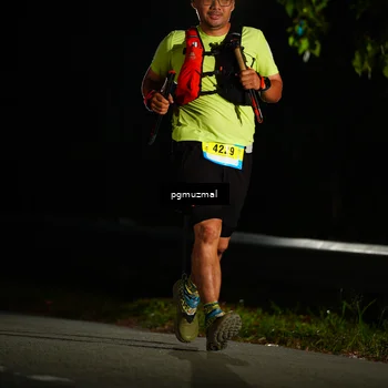 Runner Photo 5228566