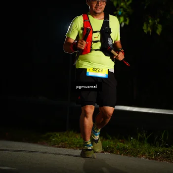 Runner Photo 5228572