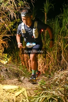 Runner Photo 5228573