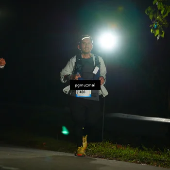 Runner Photo 5228609