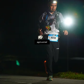 Runner Photo 5228650