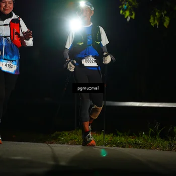 Runner Photo 5228675