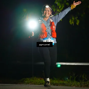Runner Photo 5228692