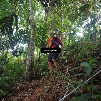 Runner Photo 5228700
