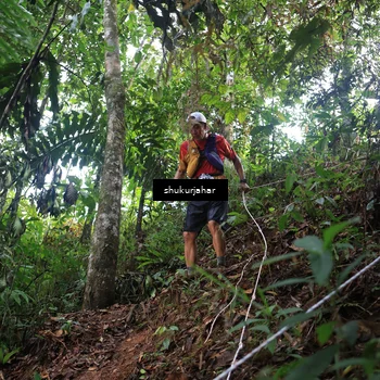 Runner Photo 5228712