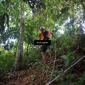 Runner Photo 5228720