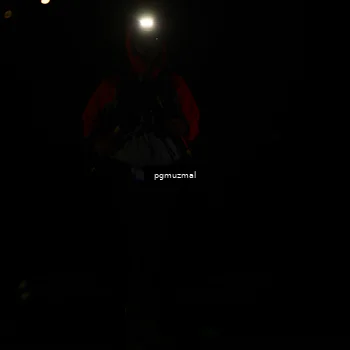 Runner Photo 5228736