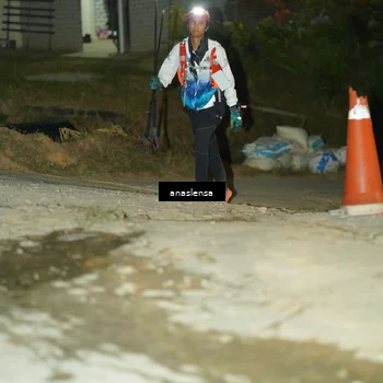 Runner Photo 5228743