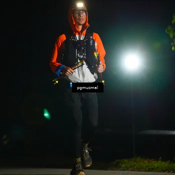 Runner Photo 5228762