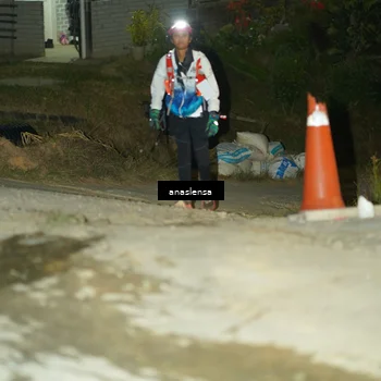 Runner Photo 5228775