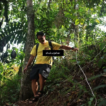 Runner Photo 5228834