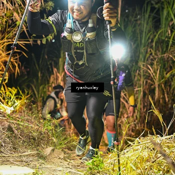 Runner Photo 5228905