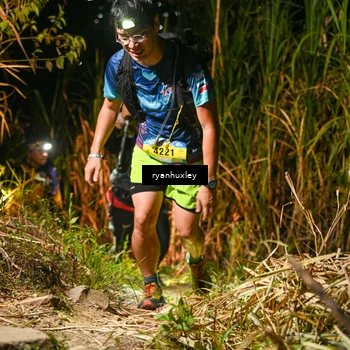 Runner Photo 5228906