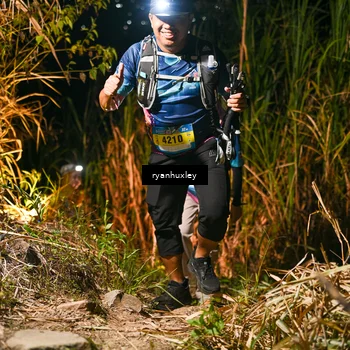 Runner Photo 5228974
